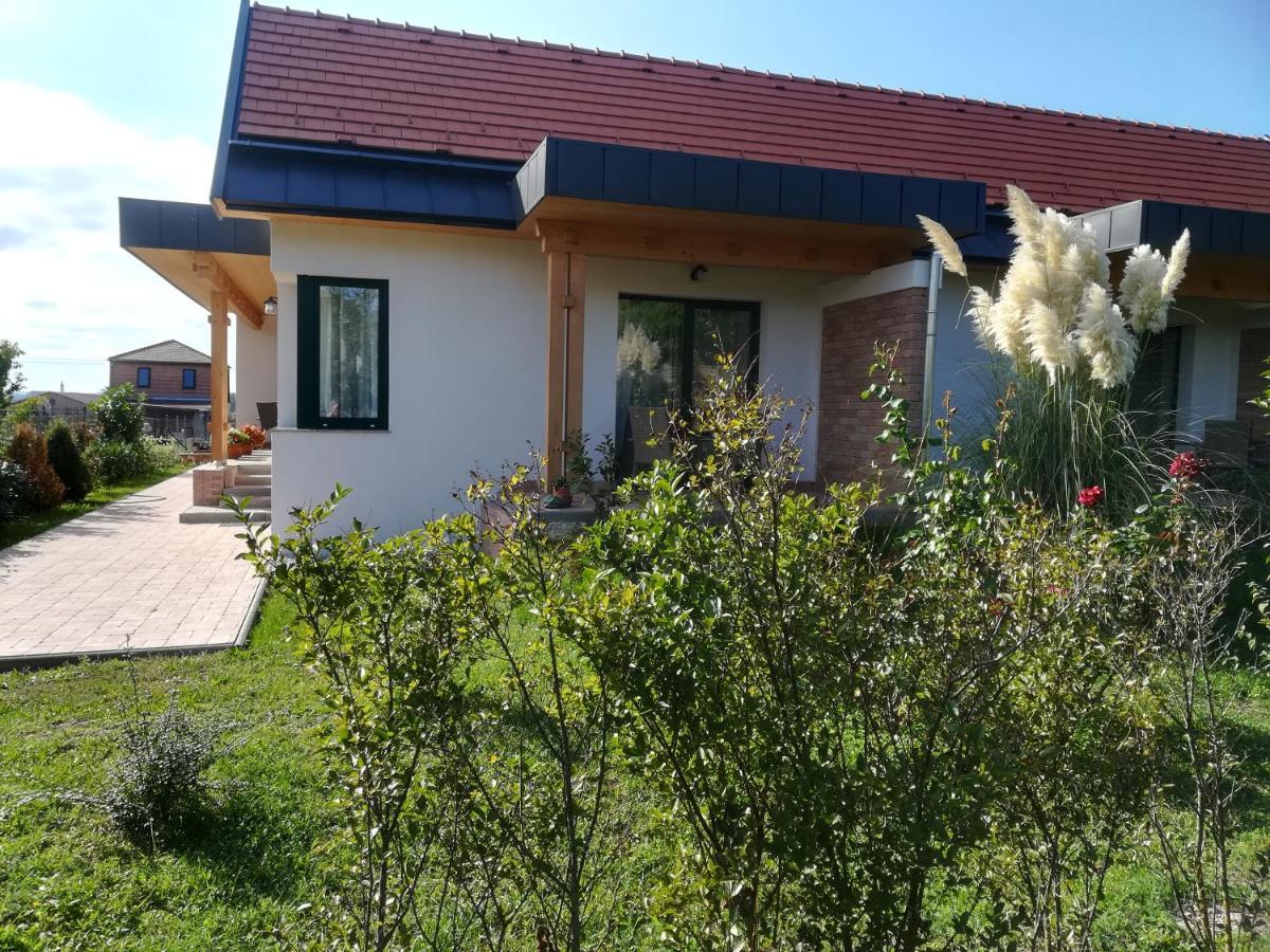 Edina Vendeghaz-Gyenesdias Lägenhet Exteriör bild